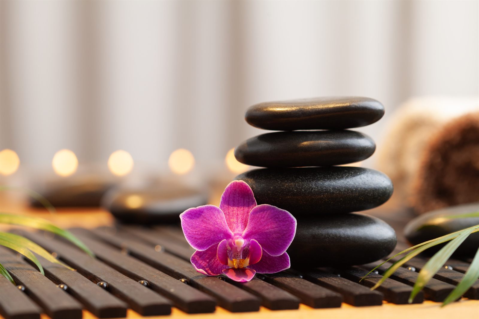 Warmsteine und Orchidee im Massageraum